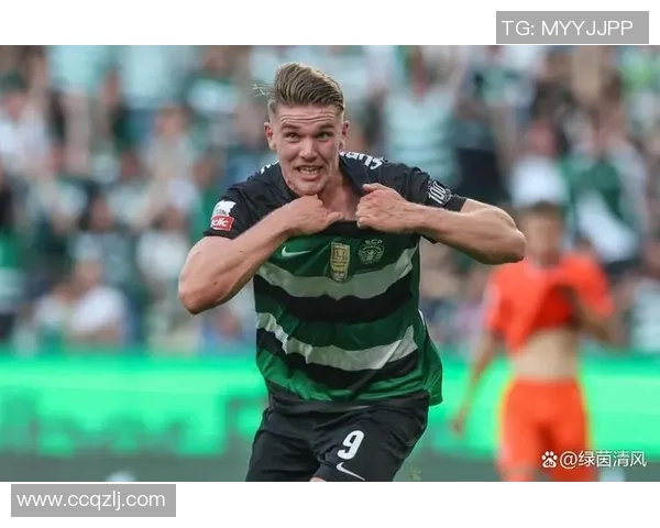 聚焦世界顶级足球前锋全面解读速度力量与进球艺术